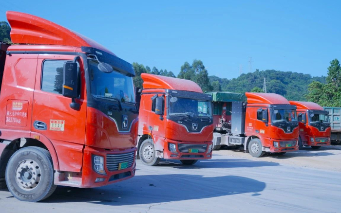 零碳先鋒 | 百臺徐工新能源助力福建客戶成功創(chuàng)富！