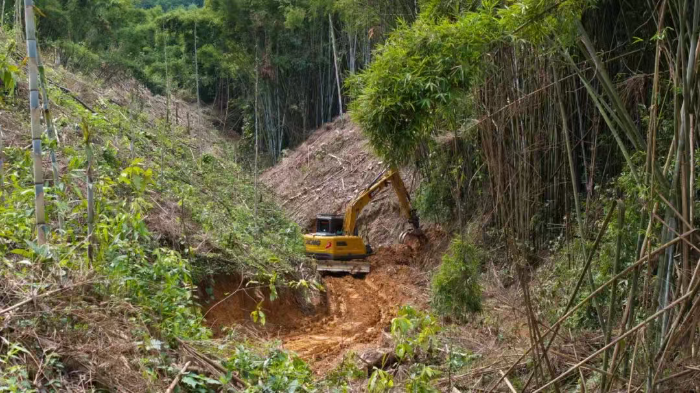 林間“藏龍”，竹?！芭P虎”——徐工林業(yè)挖機(jī)廣西俠客行